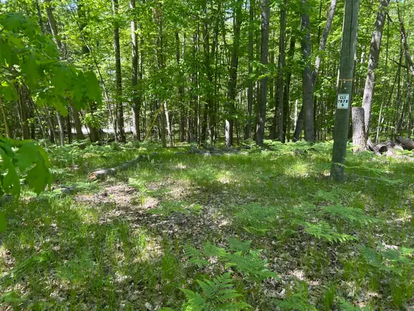 8297 Highland Trail #349, Canadian Lakes, MI 49346