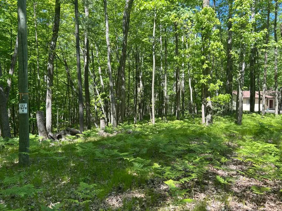 8297 Highland Trail #349, Canadian Lakes, MI 49346 - #3