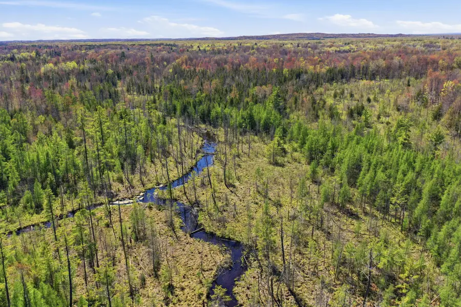 5500 N Croswell Avenue, White Cloud, MI 49349 - #2