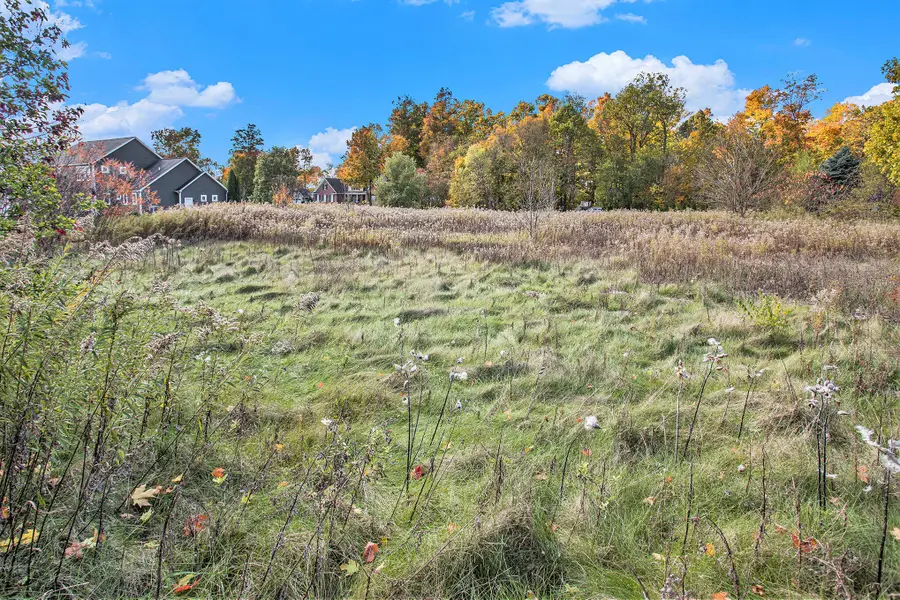 16151 Farmstone Street, Schoolcraft, MI 49087 - #2