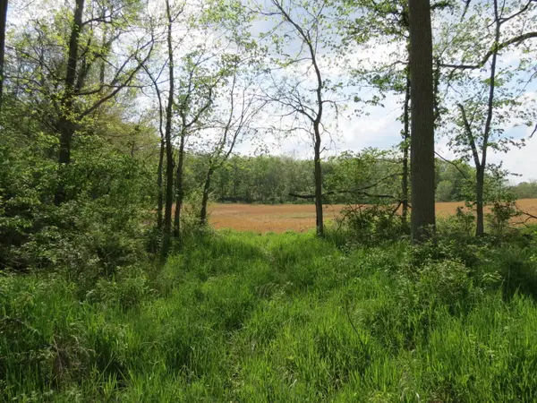 S Stoney Lake Road #A, Jackson, MI 49201