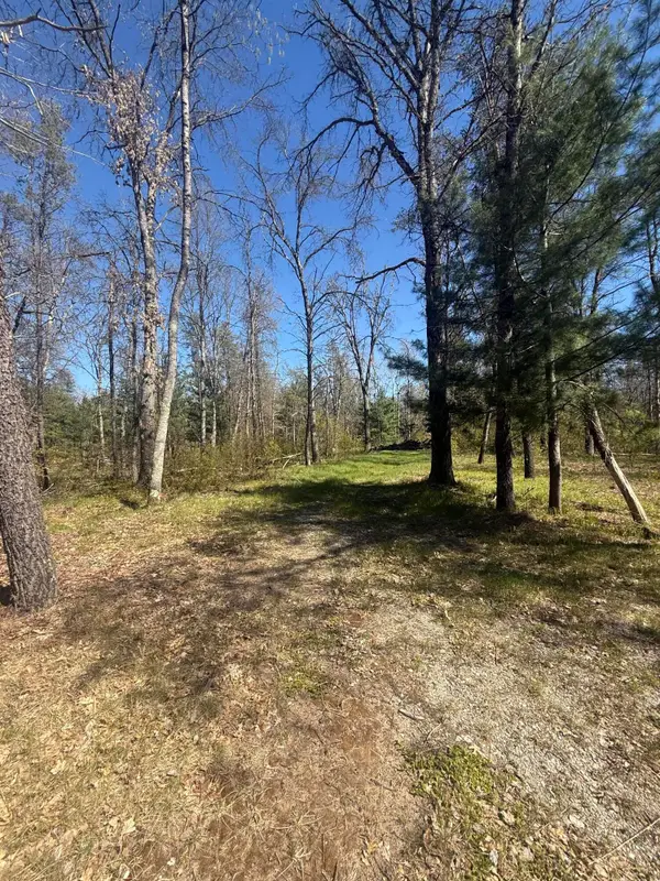 4097 S Michway Road, Baldwin, MI 49304