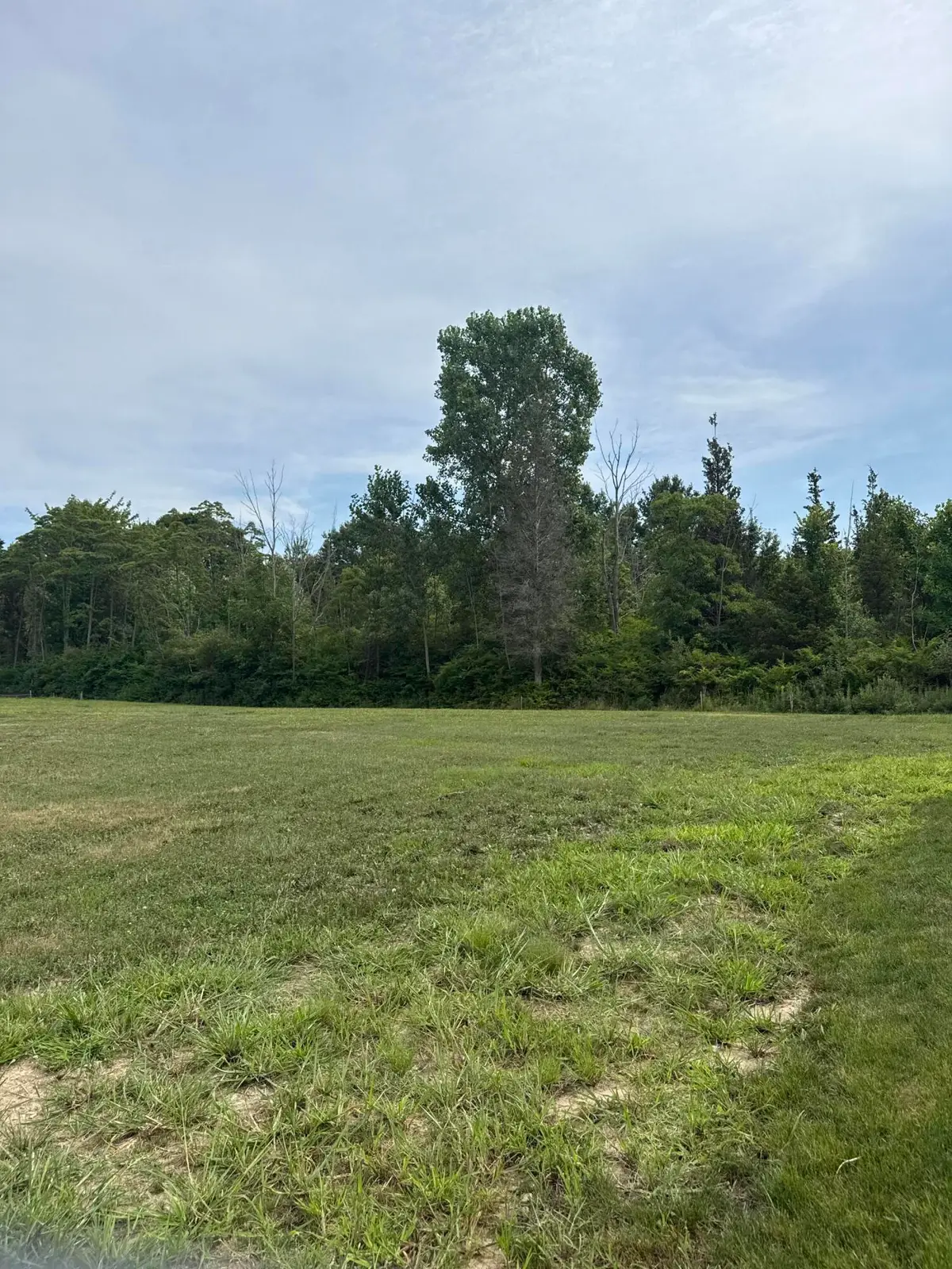 7368 Beachview Drive, South Haven, MI 49090 - #1