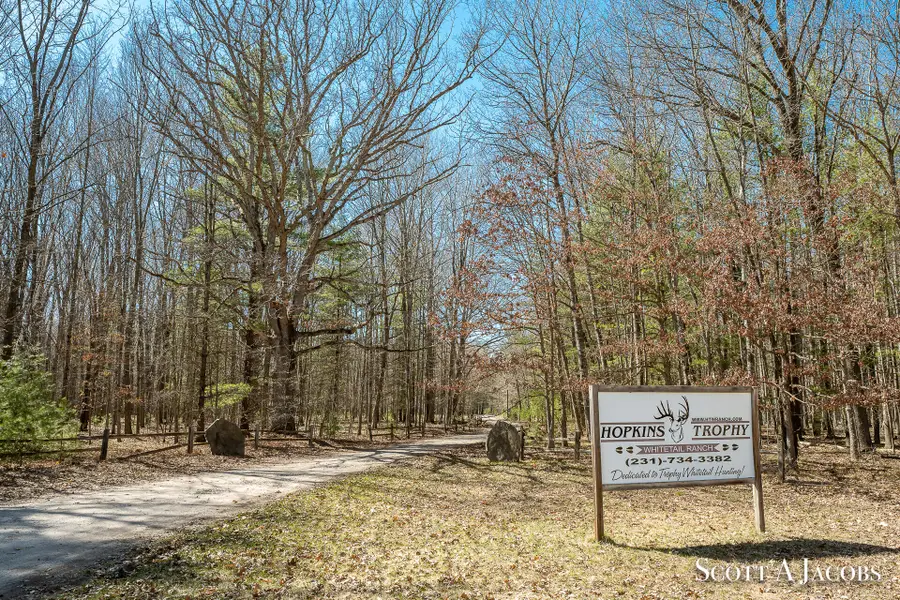 1125 Chaput Drive, Sears, MI 49679 - #3