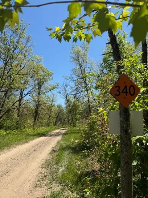 Parcel B W Usfs 5196, Baldwin, MI 49304 - #2