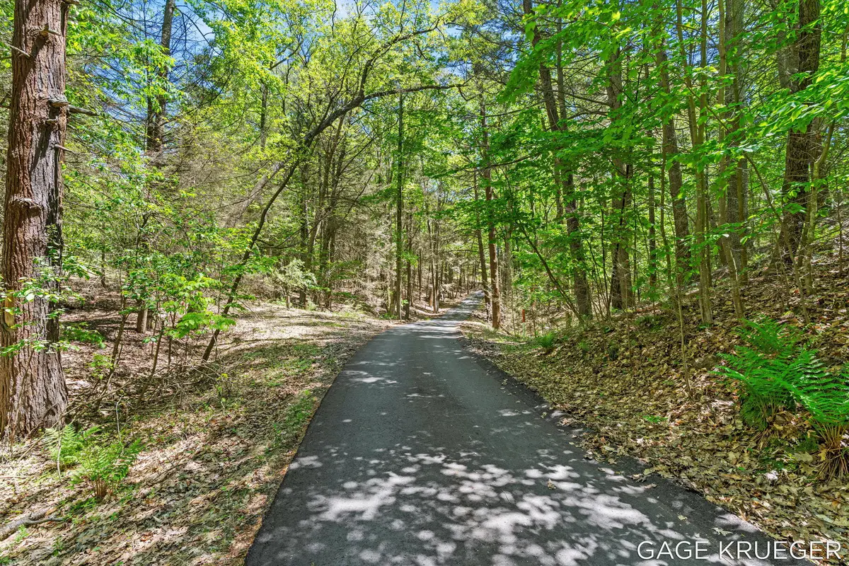 W Thomas Road, Shelby, MI 49455 - #1