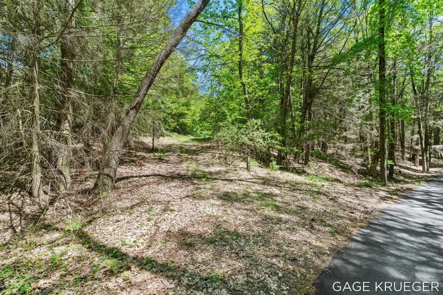 W Thomas Road, Shelby, MI 49455 - #2