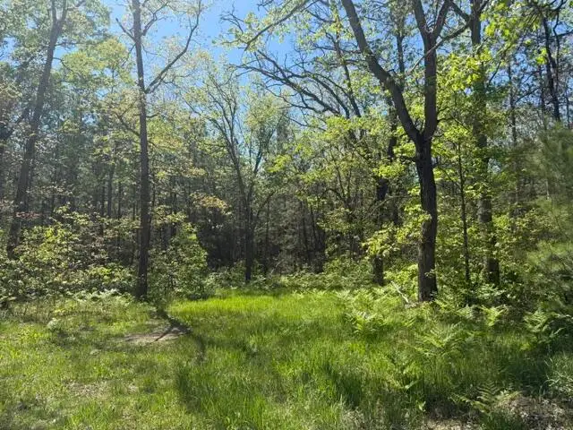 Parcel C Usfs 5196, Baldwin, MI 49304 - #1