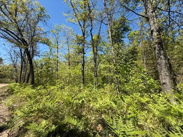Parcel C Usfs 5196, Baldwin, MI 49304 - #2