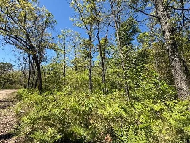 Parcel C Usfs 5196, Baldwin, MI 49304 - #3
