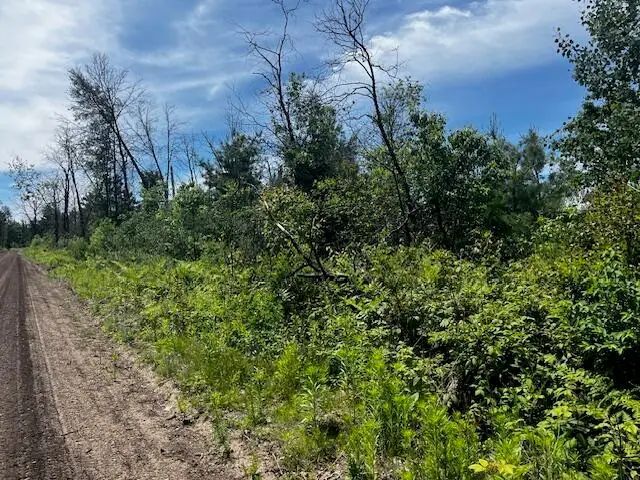 Parcel 2 Nelson Road, Idlewild, MI 49642 - #1