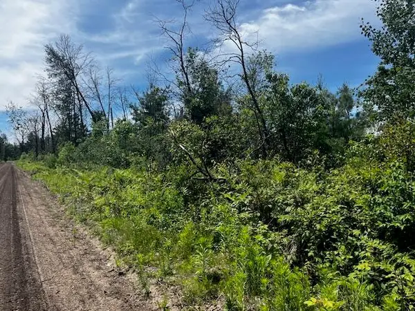 Parcel 2 Nelson Road, Idlewild, MI 49642
