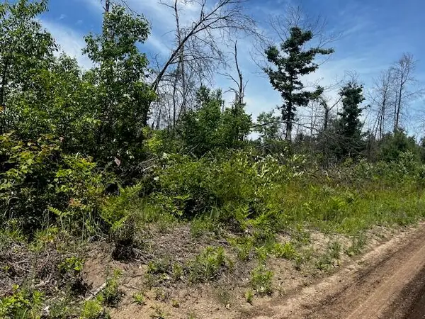 Parcel 3 Nelson Road, Idlewild, MI 49642