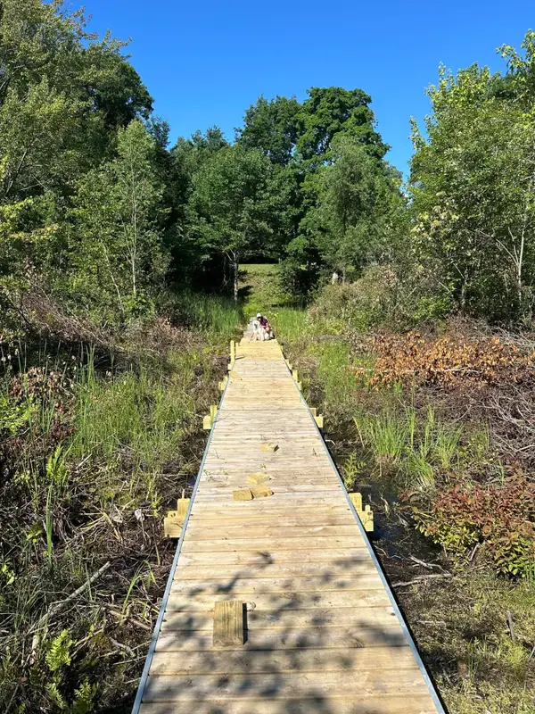 6081 Terry Drive, Six Lakes, MI 48886