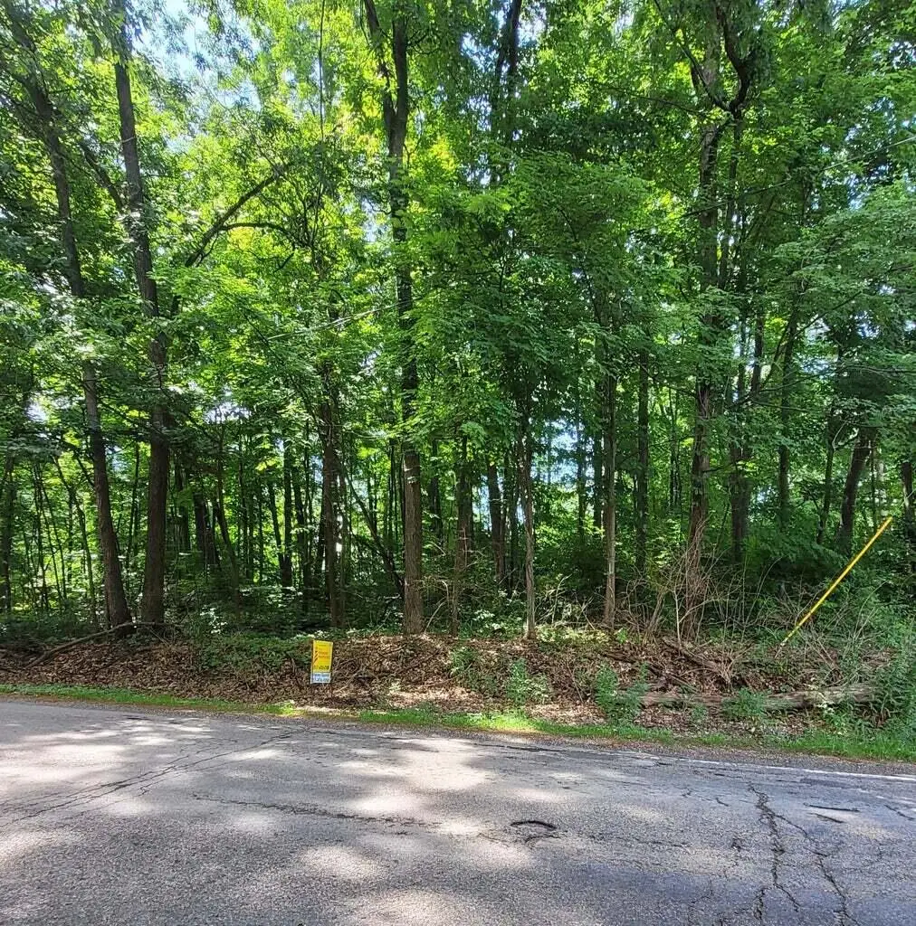 11839 Vicary Road, Jerome, MI 49249 - #1