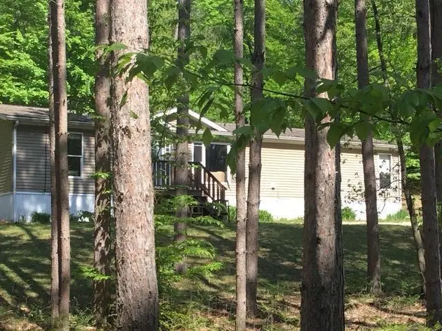 5088 Buck Road, Whitewater, MI 49690 - #2