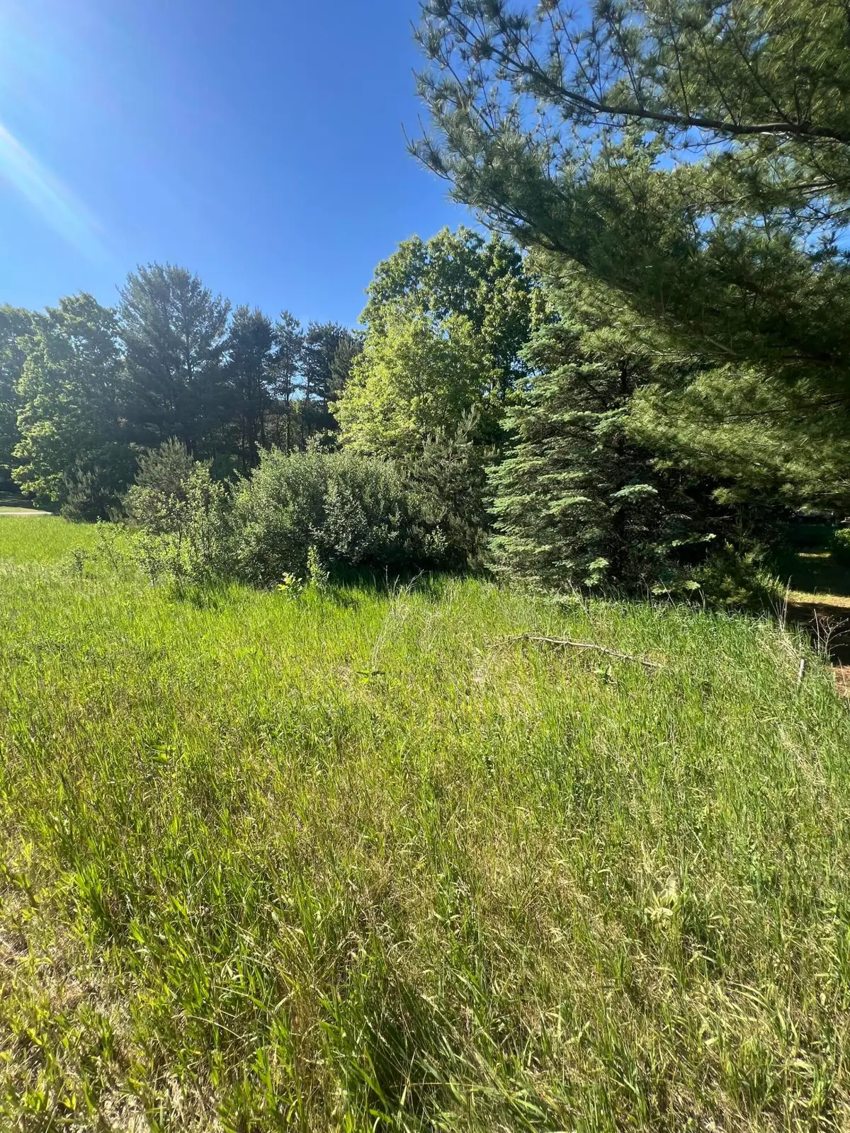 9453 E 120th Street, Sand Lake, MI 49343 - #1