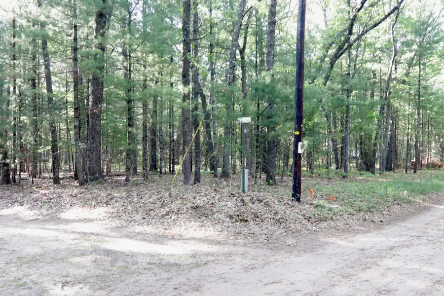 V/L W Cypress Avenue, Baldwin, MI 49304 - #2