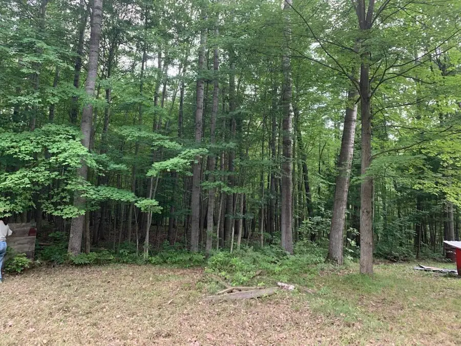 12191 Timber Trail, Rodney, MI 49342 - #3