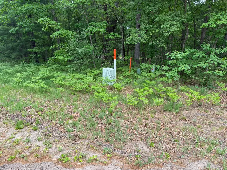 V/L E Sandra Kay Road, Fountain, MI 49410 - #2