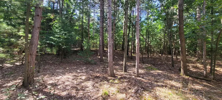 S 32nd Avenue, Shelby, MI 49455 - #3