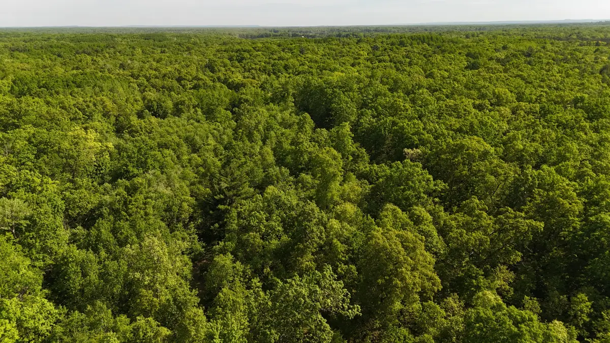 W 7 Mile Road, Irons, MI 49644 - #1