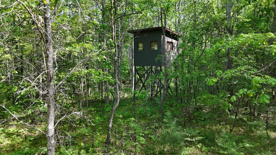 W 7 Mile Road, Irons, MI 49644 - #3