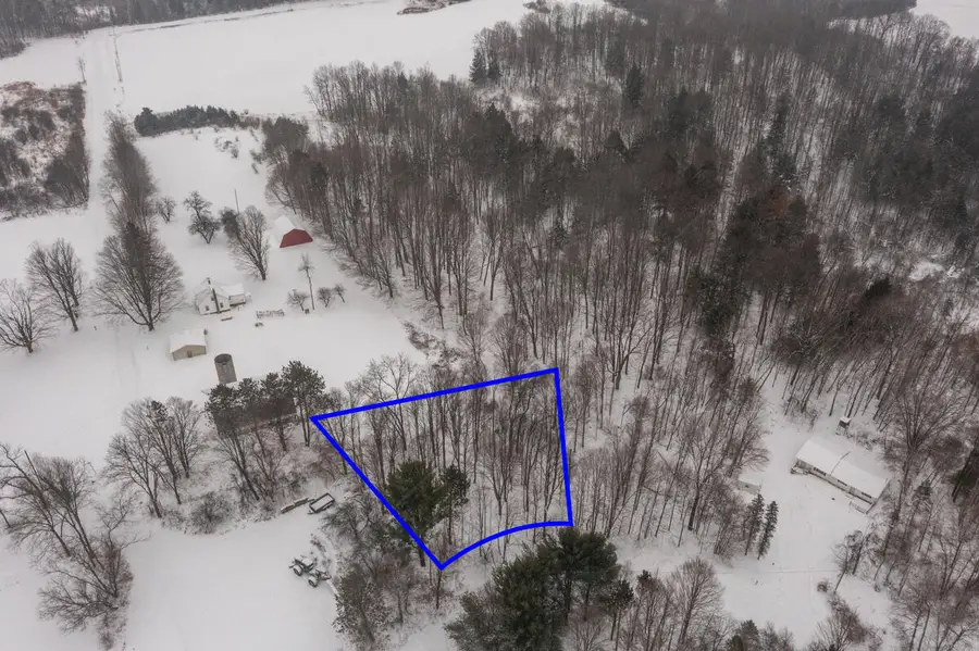 23085 Huron Trail, Evart, MI 49631 - #2