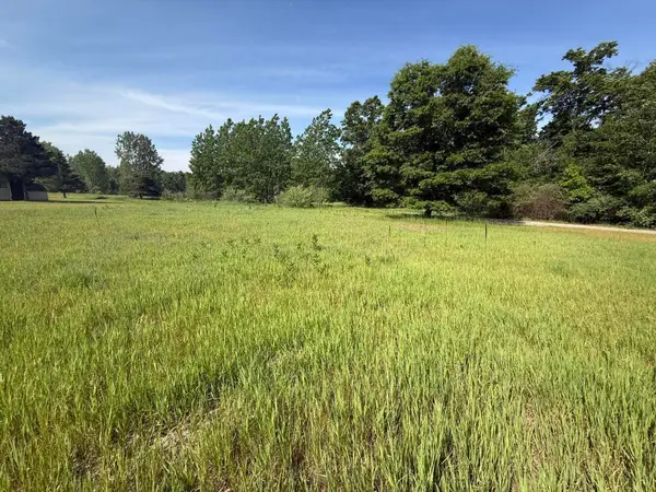W Royal Road #Lot D, Stanwood, MI 49346
