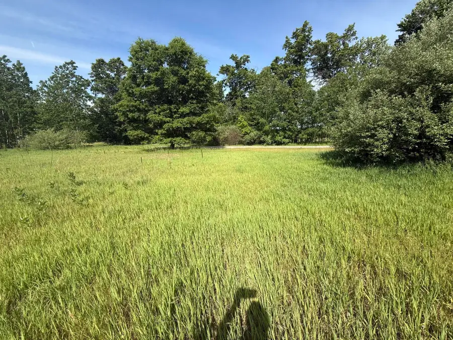W Royal Road #Lot D, Stanwood, MI 49346 - #3