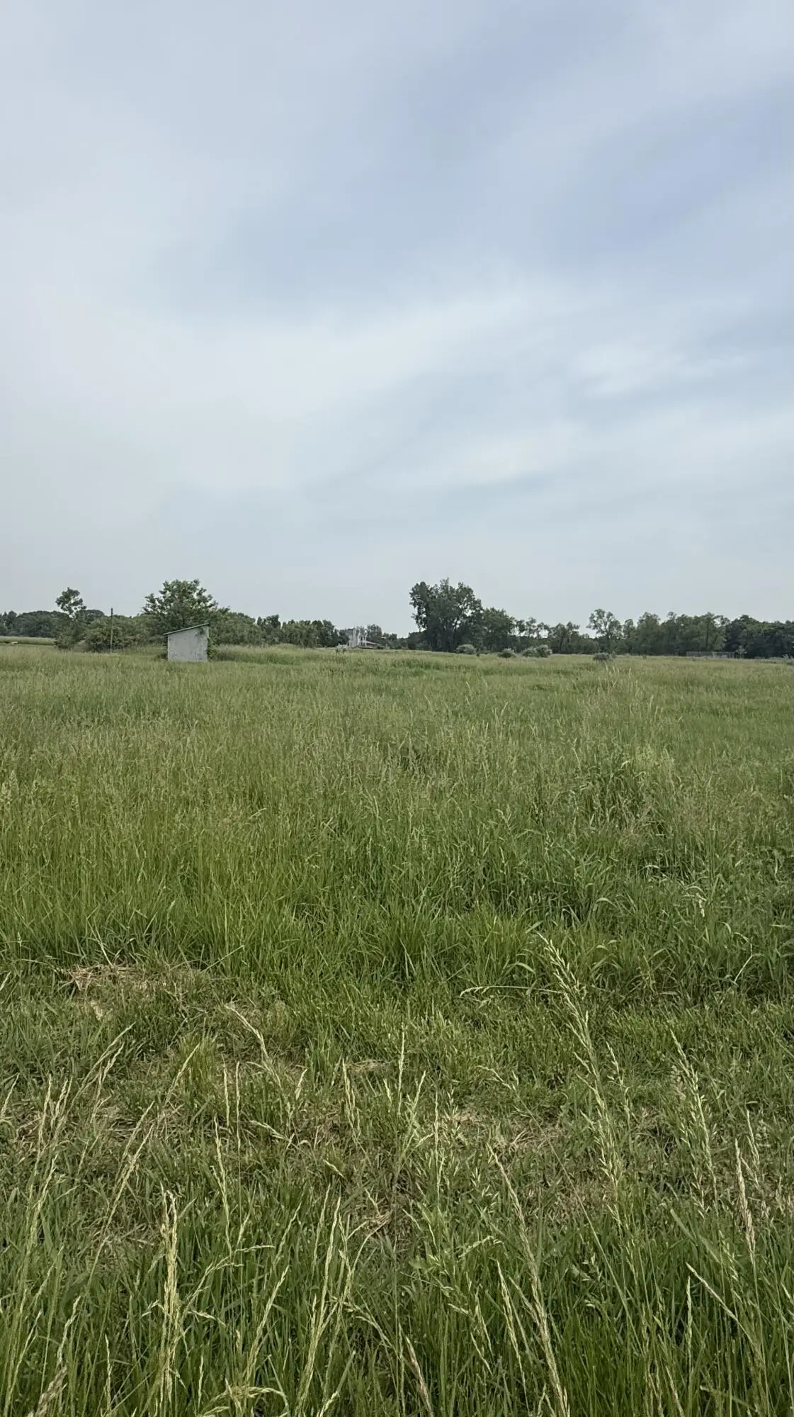 V/l Miller Road, Buchanan, MI 49107 - #1