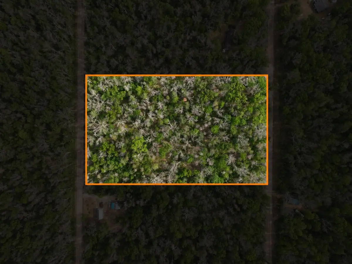 Dorsey Drive, Baldwin, MI 49304 - #1