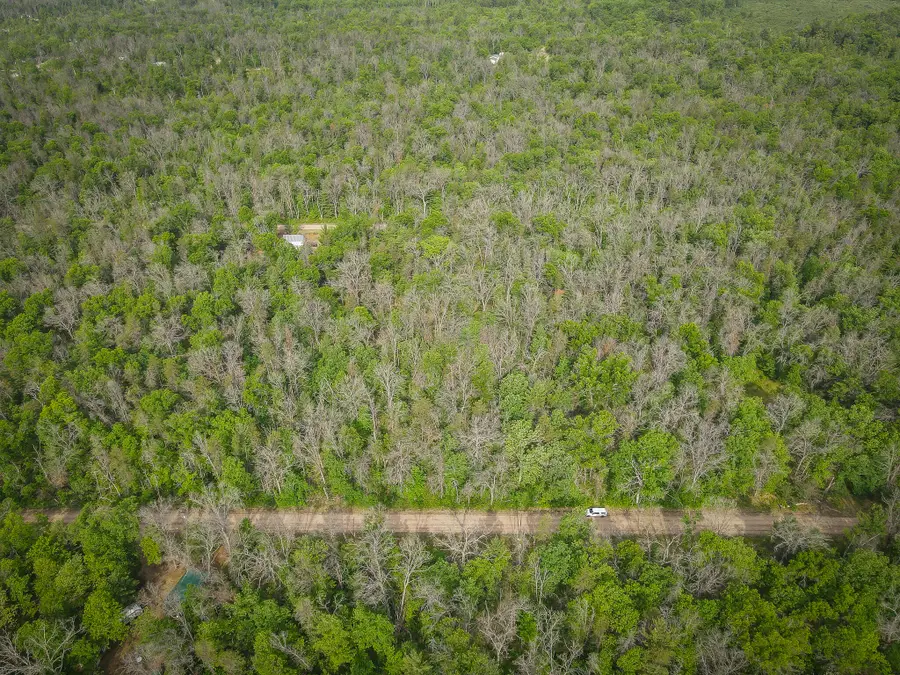 Dorsey Drive, Baldwin, MI 49304 - #3