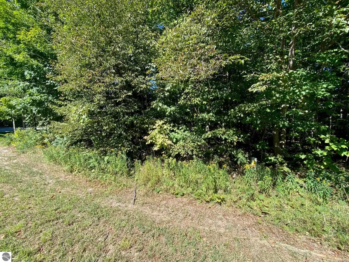 Lot 130 E Sugar Maple Drive, Cedar, MI 49621 - #1