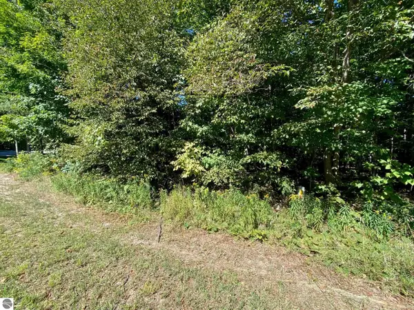 Lot 130 E Sugar Maple Drive, Cedar, MI 49621