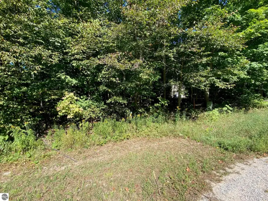 Lot 130 E Sugar Maple Drive, Cedar, MI 49621 - #3