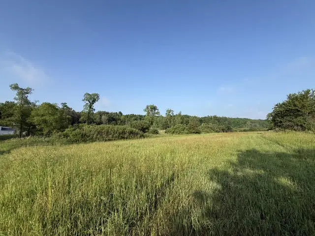 Parcel B E M-79, Nashville, MI 49073 - #1