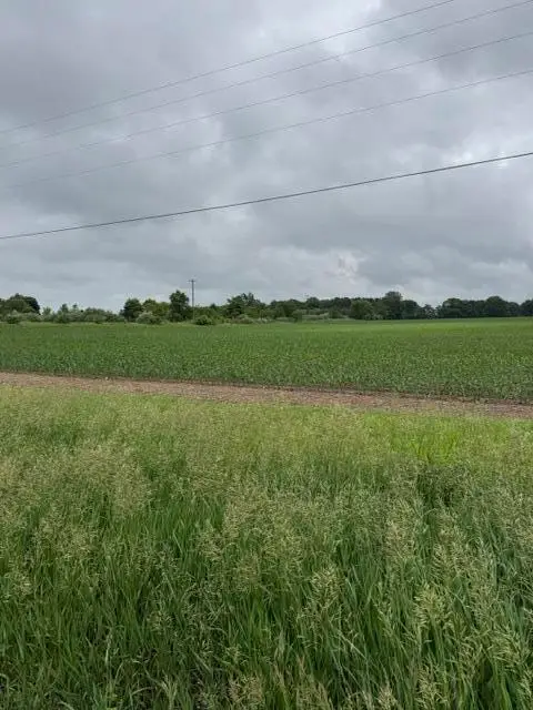 V/L Satterlee Road, Greenville, MI 48838 - #1