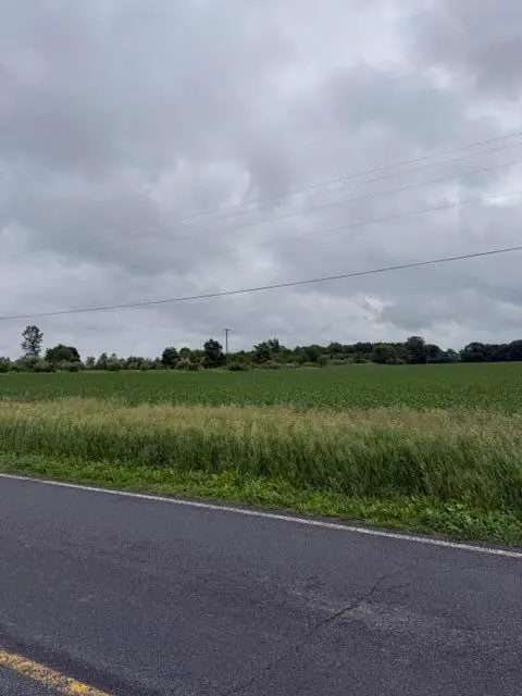 V/L Satterlee Road, Greenville, MI 48838 - #2