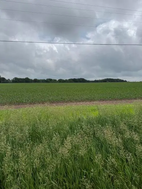 V/L Satterlee Road, Greenville, MI 48838 - #3