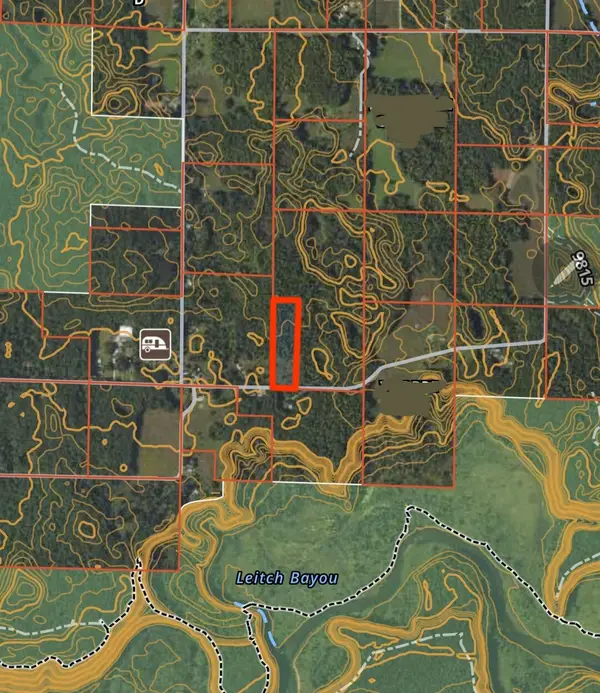 Dickson Road, Brethren, MI 49619