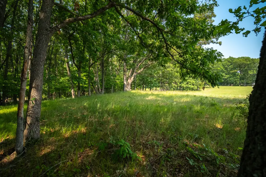 8161 N Hunters Ridge Drive, Irons, MI 49644 - #3