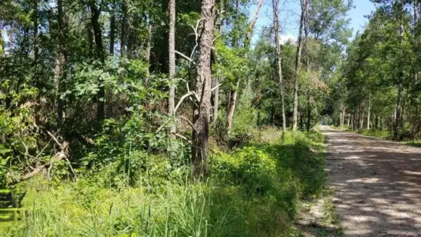 Parcel 4 Grove Street, Baldwin, MI 49304