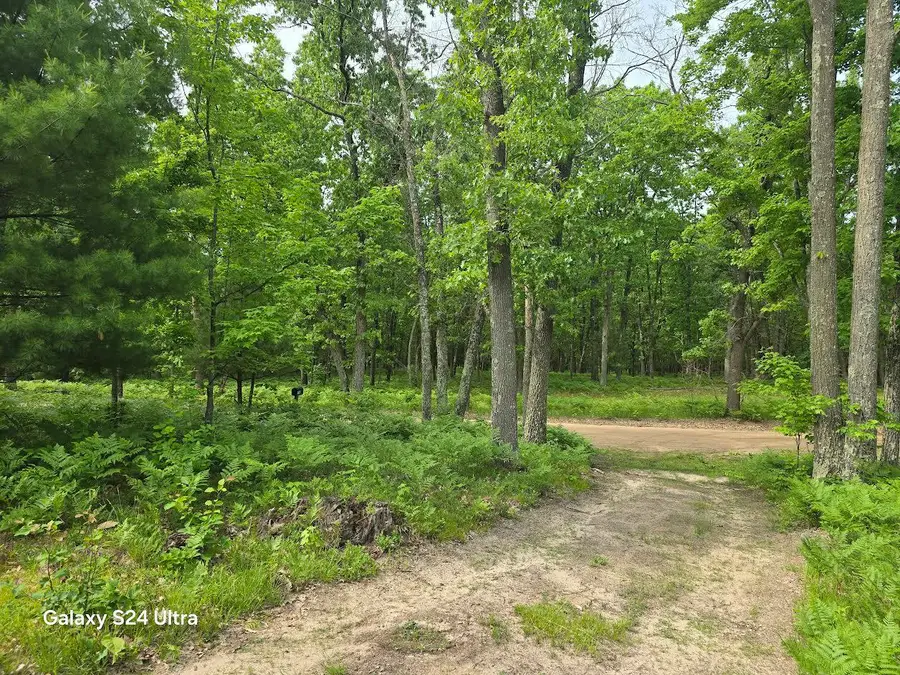 4749 W 9 Mile Road, Irons, MI 49644 - #2