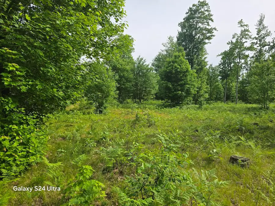 4749 W 9 Mile Road, Irons, MI 49644 - #3
