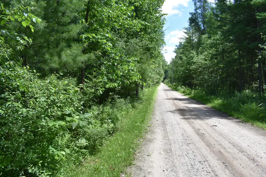000 S Queens Highway, Chase, MI 49623 - #3