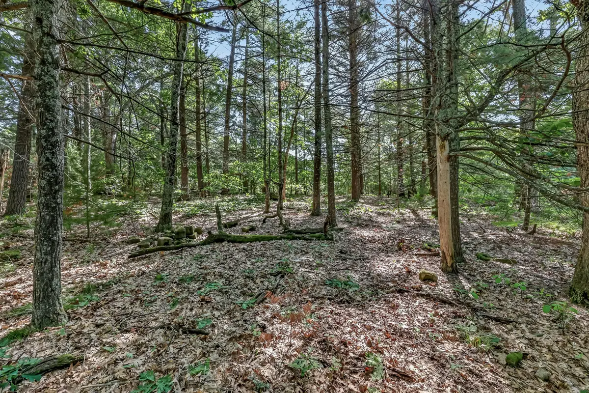 VL W Michigan Road #B, Twin Lake, MI 49457 - #1