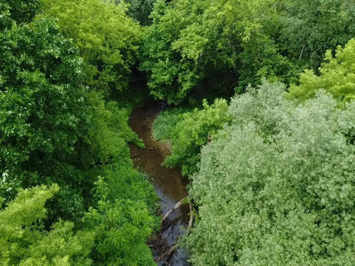VL Hough Road, Almont, MI 48003 - #1
