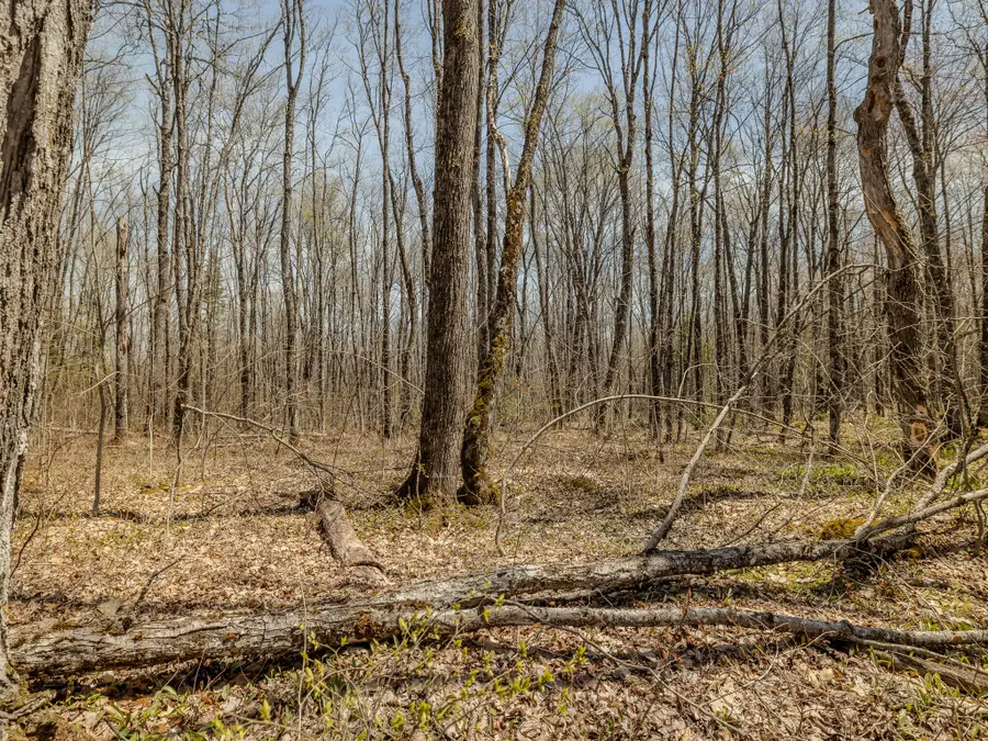 E Shore Road, Bergland, MI 49910 - #3