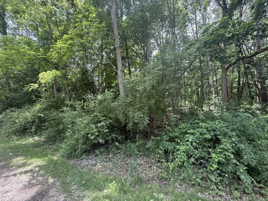 0 Longbridge Road, Pentwater, MI 49449 - #2
